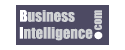 BusinessIntelligence.com